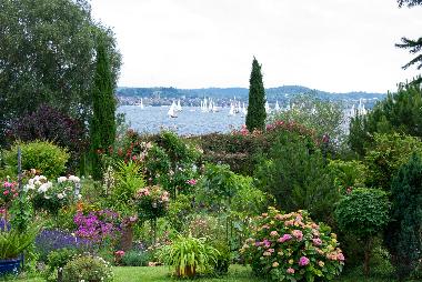 Holiday Apartment in Reichenau (Lake of Constance) or holiday homes and vacation rentals