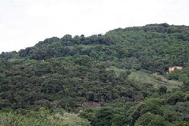 Holiday House in San Martino di Roccastrada (Grosseto) or holiday homes and vacation rentals