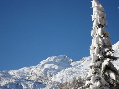 Holiday House in Saas-Fee (Saas-Fee) or holiday homes and vacation rentals