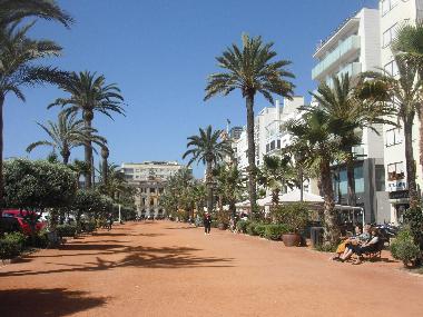 Beach Promenade (only 1-walking-minute from the apartment)