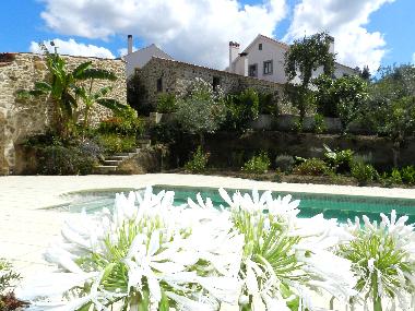 overview from pool