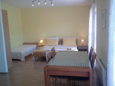 Holiday Apartment in Jelsa (Splitsko-Dalmatinska) or holiday homes and vacation rentals