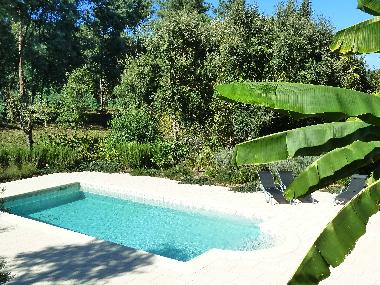 Holiday Apartment in Caneiro - Mas de Dona Maria (Pinhal Litoral) or holiday homes and vacation rentals