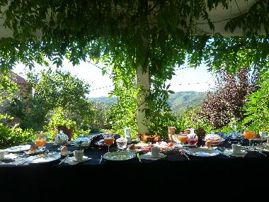 breakfast with a view