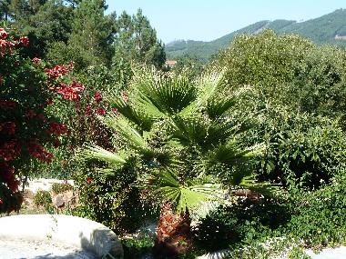 Holiday Apartment in Caneiro - Mas de Dona Maria (Pinhal Litoral) or holiday homes and vacation rentals