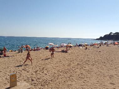 Beach  (only 1-walking-minute from the apartment)