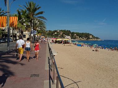 Beach Promenade (only 1-walking-minute from the apartment)