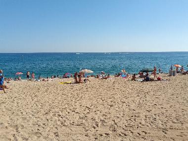 Beach  (only 1-walking-minute from the apartment)