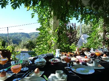 breakfast with a view