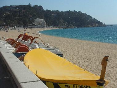Beach  (only 1-walking-minute from the apartment)