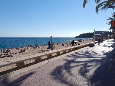 Beach  (only 1-walking-minute from the apartment)