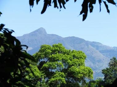 Bed and Breakfast in kandy (Kandy) or holiday homes and vacation rentals