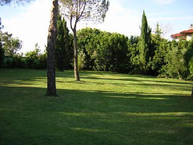 Villa in Castiglione del Lago ( Pg) (Perugia) or holiday homes and vacation rentals
