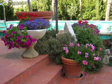 Villa in Castiglione del Lago ( Pg) (Perugia) or holiday homes and vacation rentals