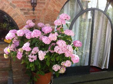 Villa in Castiglione del Lago ( Pg) (Perugia) or holiday homes and vacation rentals