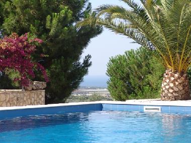 Villa in Polignano a Mare (Bari) or holiday homes and vacation rentals