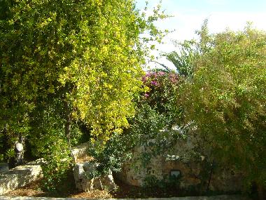 Villa in Polignano a Mare (Bari) or holiday homes and vacation rentals