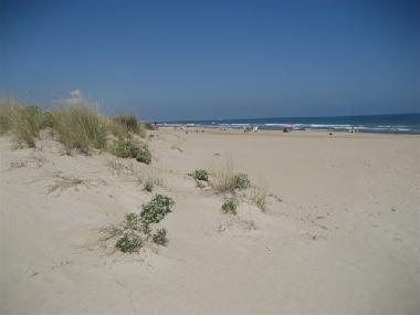 Villa in oliva (Valencia / Valncia) or holiday homes and vacation rentals