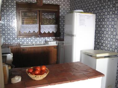 Villa in oliva (Valencia / Valncia) or holiday homes and vacation rentals