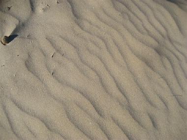 Villa in oliva (Valencia / Valncia) or holiday homes and vacation rentals