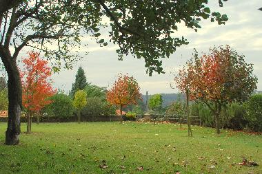 Garden South/west view November 2011