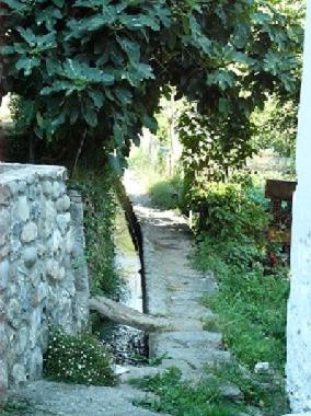 Holiday Apartment in OlivettaS.M. (Imperia) or holiday homes and vacation rentals