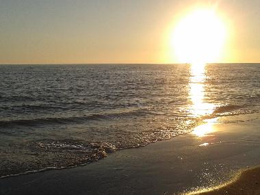 Holiday House in Ardea (Roma) or holiday homes and vacation rentals