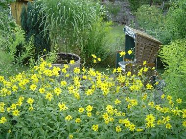 Holiday Apartment in Ahrbrck (Eifel - Ahr) or holiday homes and vacation rentals