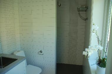 Bathroom with shower, floor heating and WC