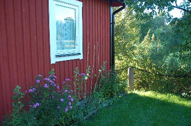 Bathroom window seen from garden