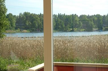 Photo taken from the living room (through the window)