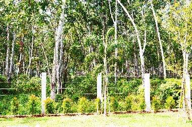 Holiday House in krabi (Krabi) or holiday homes and vacation rentals