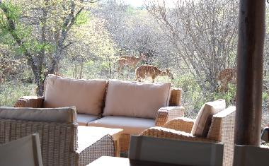 Holiday House in Hoedspruit (Northern Province) or holiday homes and vacation rentals