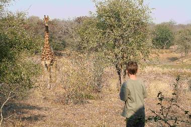 Holiday House in Hoedspruit (Northern Province) or holiday homes and vacation rentals