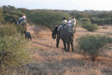 Holiday House in Hoedspruit (Northern Province) or holiday homes and vacation rentals