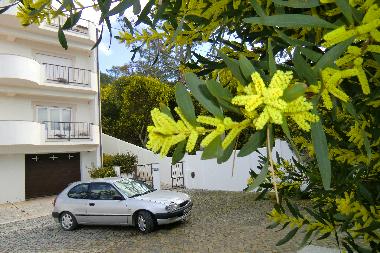 Bed and Breakfast in Paredes/Pataias (Pinhal Litoral) or holiday homes and vacation rentals