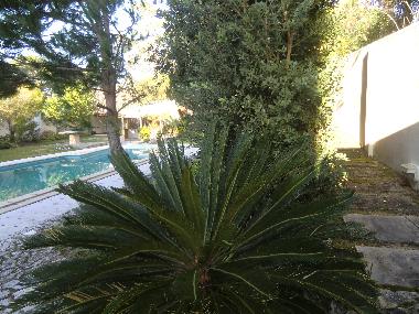 Bed and Breakfast in Paredes/Pataias (Pinhal Litoral) or holiday homes and vacation rentals