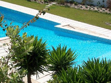 Bed and Breakfast in Paredes/Pataias (Pinhal Litoral) or holiday homes and vacation rentals