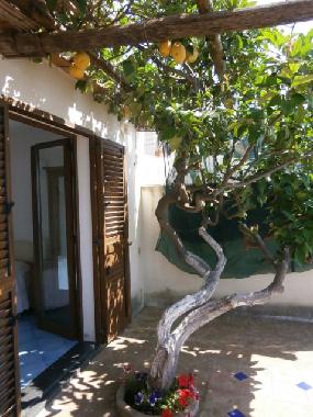 Holiday Apartment in Praiano (Salerno) or holiday homes and vacation rentals