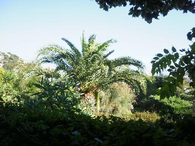 Holiday Apartment in Bormes les Mimosas (Var) or holiday homes and vacation rentals