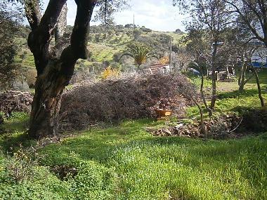 Holiday Apartment in Grndola (Alentejo Litoral) or holiday homes and vacation rentals