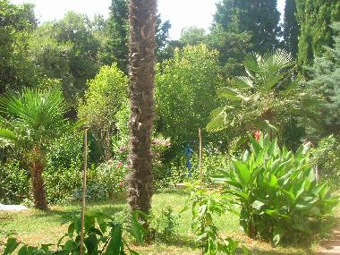 Holiday Apartment in Pula (Istarska) or holiday homes and vacation rentals