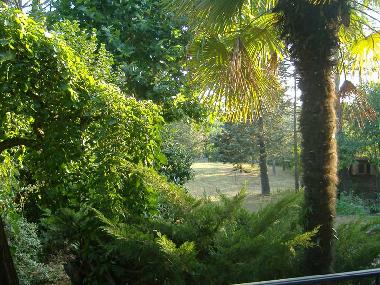 Holiday Apartment in piandisetta, Grizzana Morandi, Bologna (Bologna) or holiday homes and vacation rentals