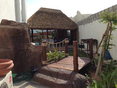 Back garden pool area 