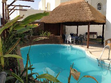 Back garden pool area