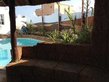 Back garden pool area