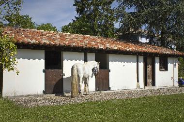 Holiday House in Bustio - Ribadedeva (Asturias) or holiday homes and vacation rentals