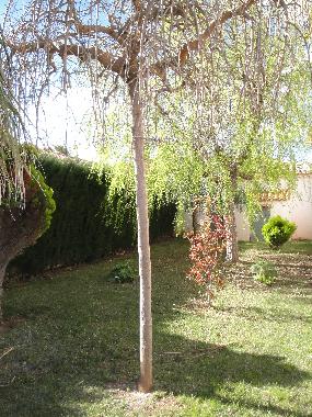 Villa in Miami Playa (Tarragona) or holiday homes and vacation rentals