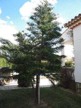 Villa in Miami Playa (Tarragona) or holiday homes and vacation rentals