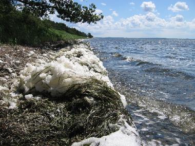Holiday House in Glowe (Ostsee-Inseln) or holiday homes and vacation rentals